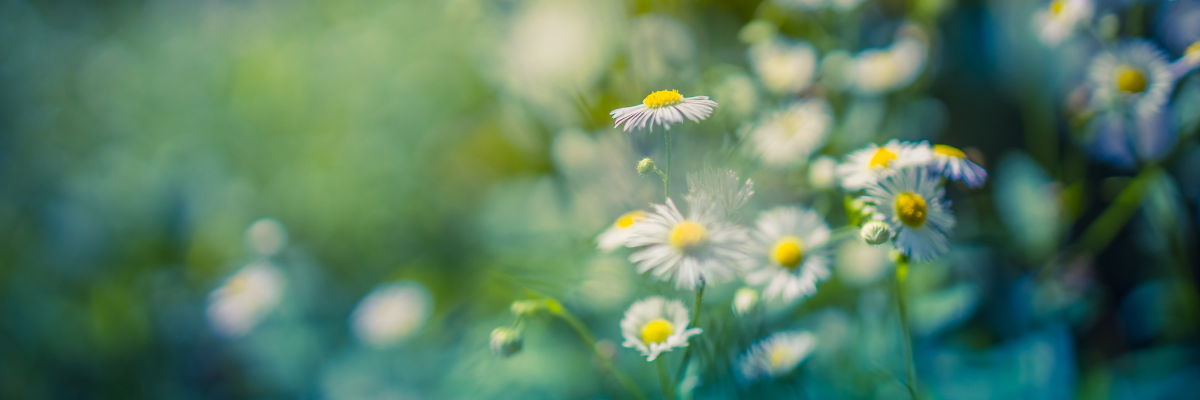 働き方改革(ワークライフバランス)