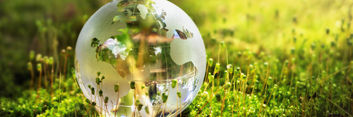 若手の挑戦 若手の挑戦