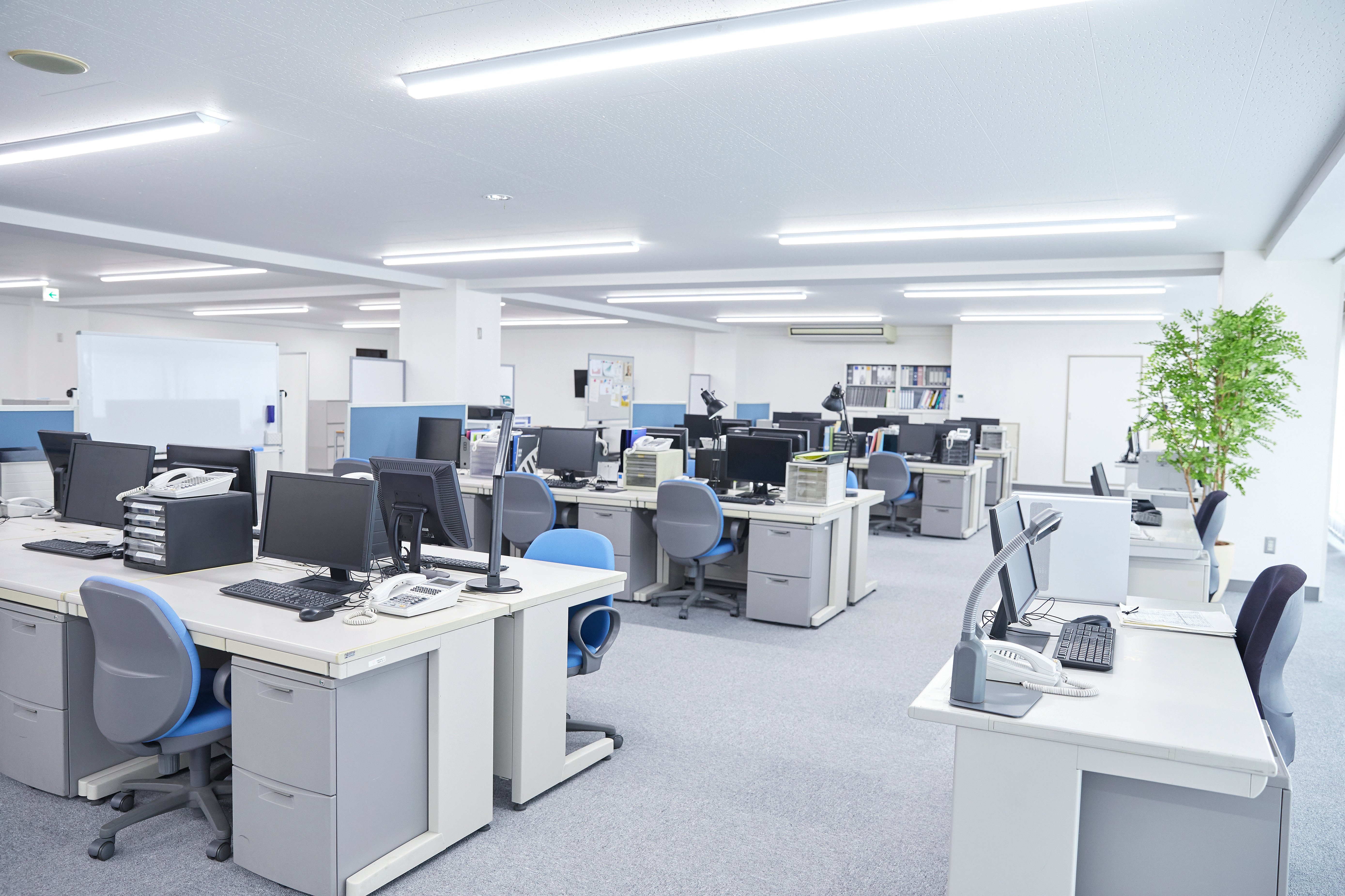 AdobeStock_392358826