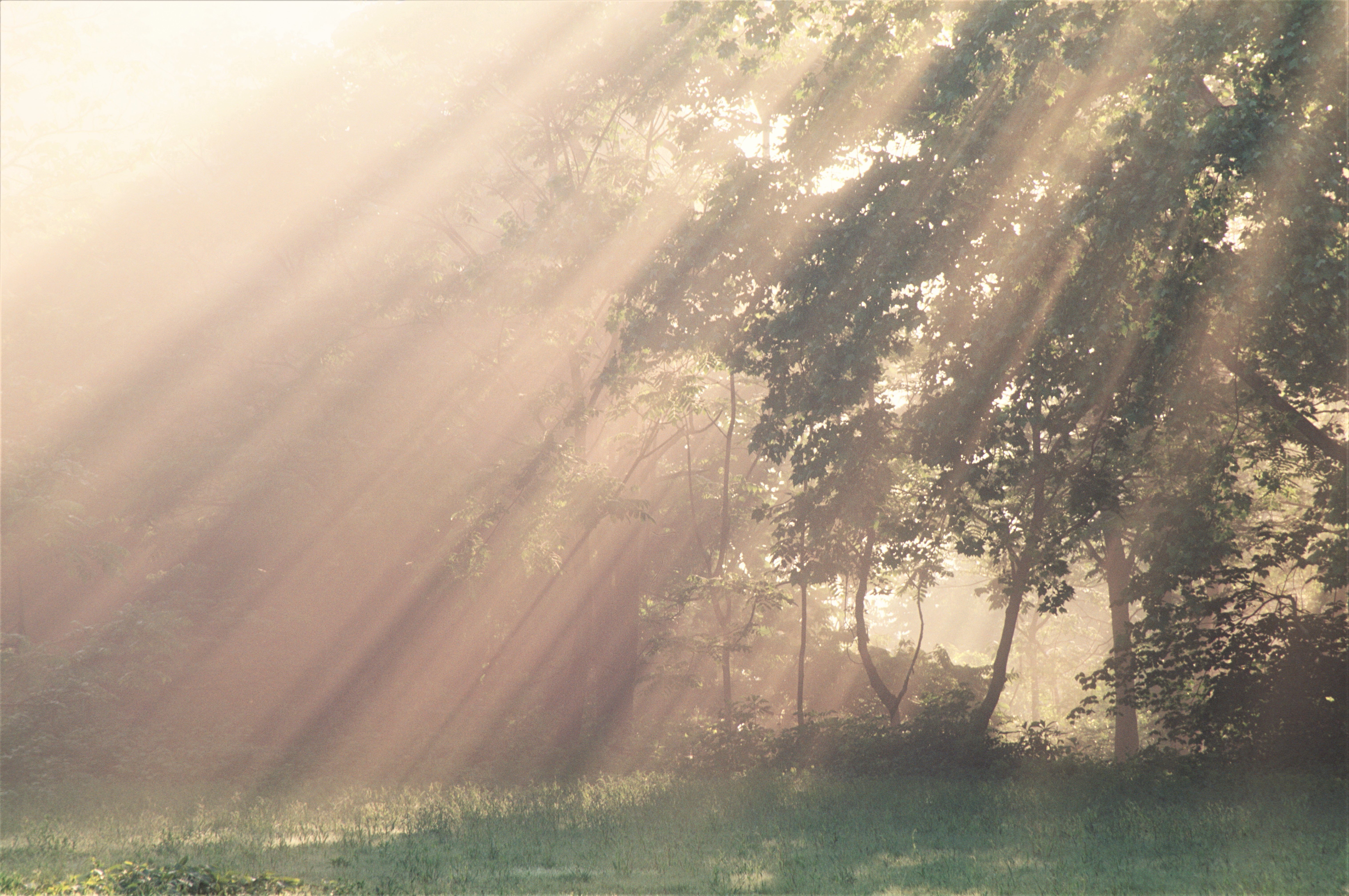 AdobeStock_601407530