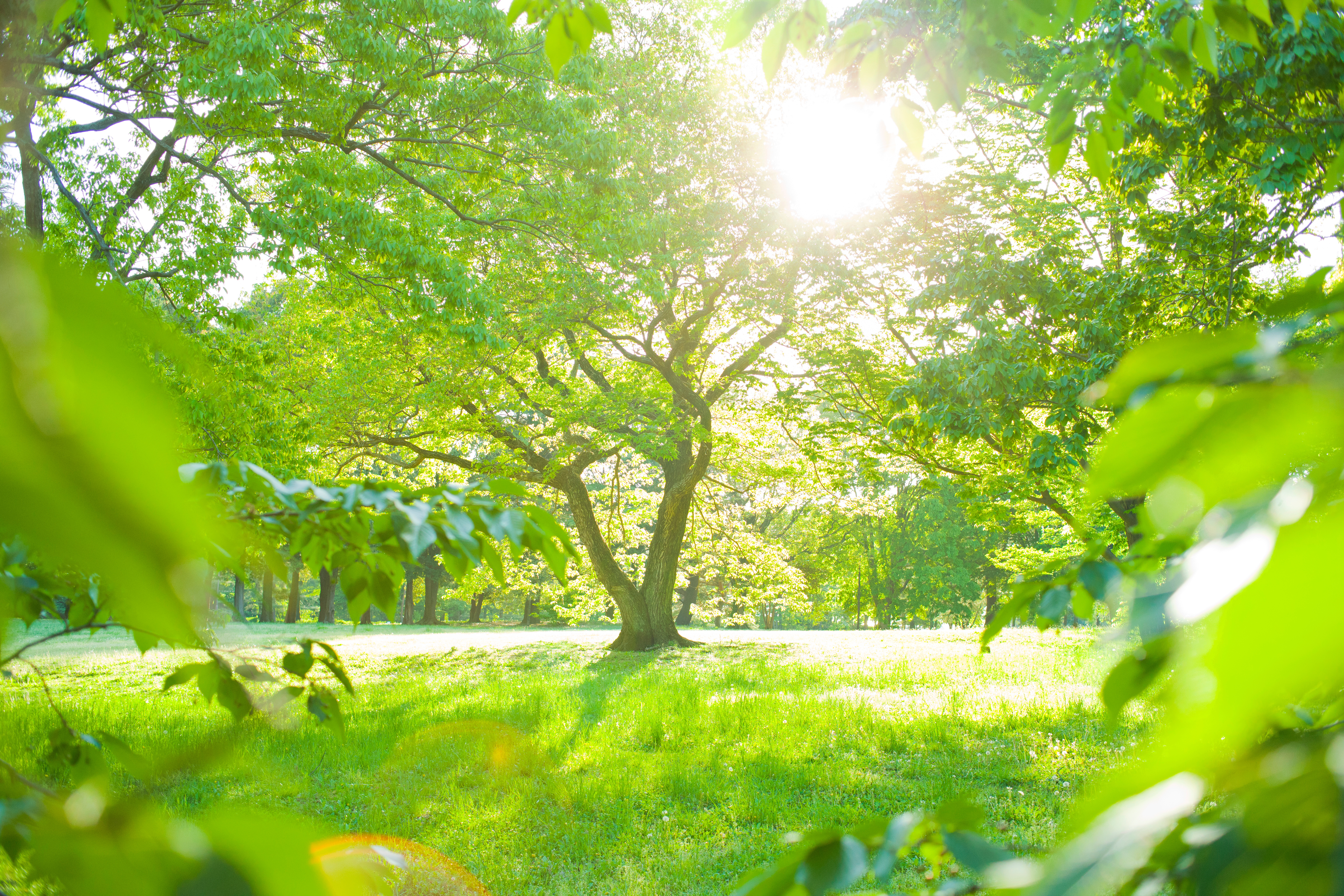 当社の取り組み